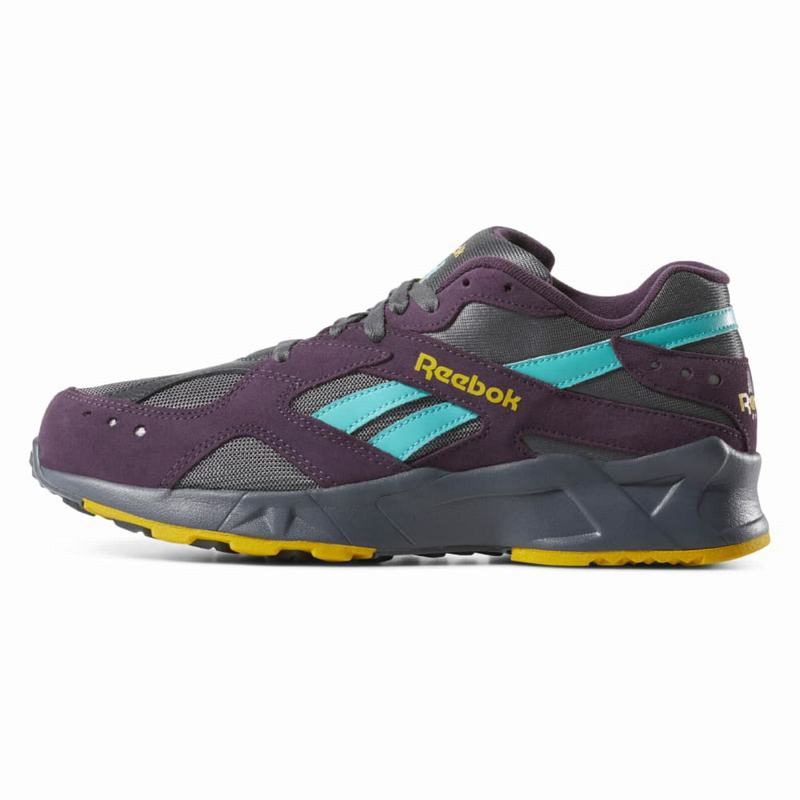 Tenisi Reebok Aztrek Dama Violet/Gri Romania DZ4110PL